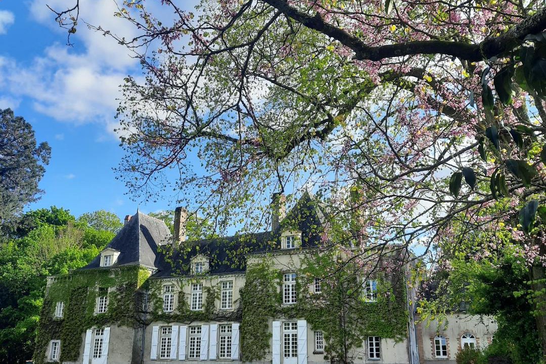 Photo of Others in Saint-Herblain