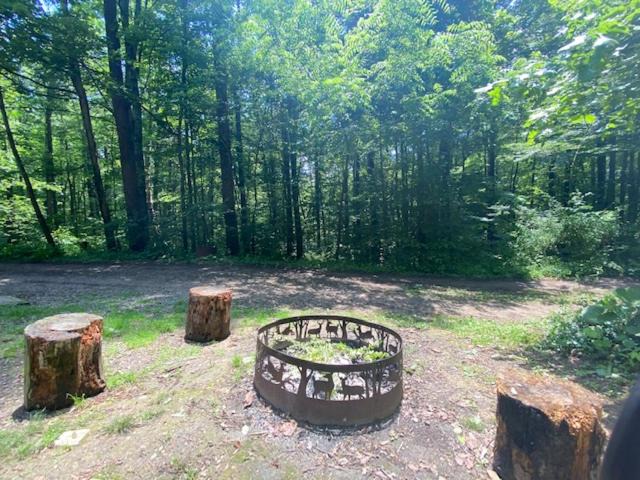 Photo of Others in South Bloomingville