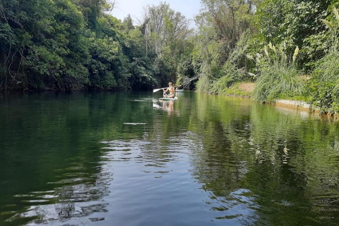 Photo of Others in Le Cannet-des-Maures