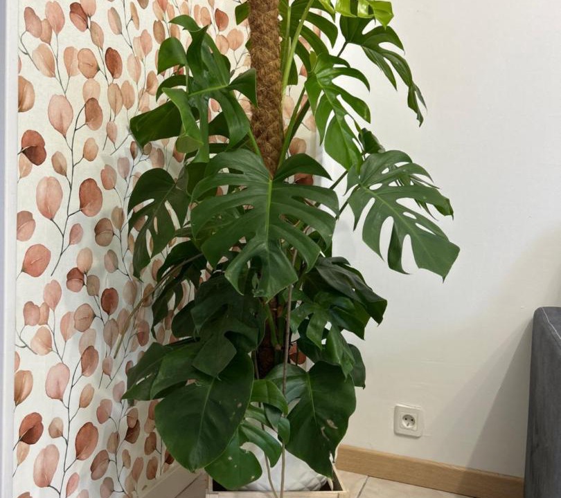 Photo of Others in Bourroches