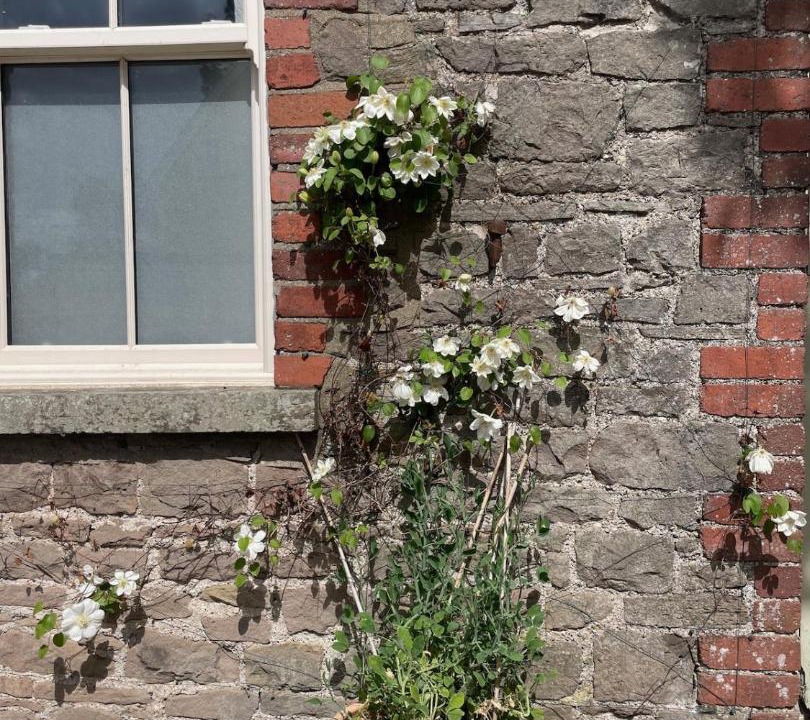 Photo of Others in Monkswood