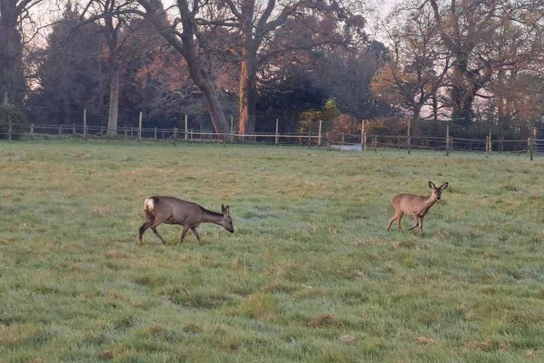 Photo of Others in Wickham