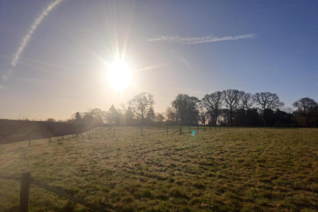 Photo of Others in Wickham