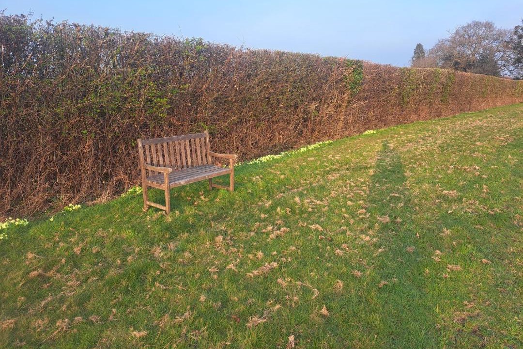 Photo of Others in Wickham