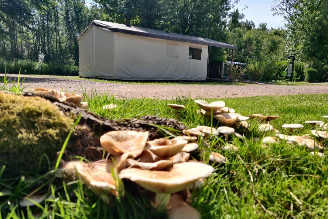 Photo of Outdoor in Avrille