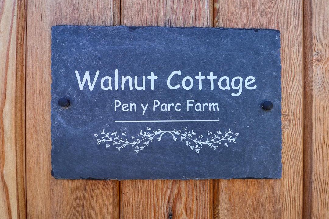 Photo of Others in Flintshire