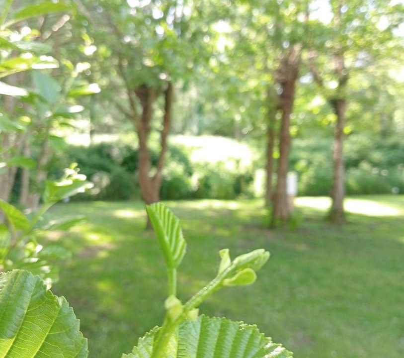 Photo of Outdoor in Avrille