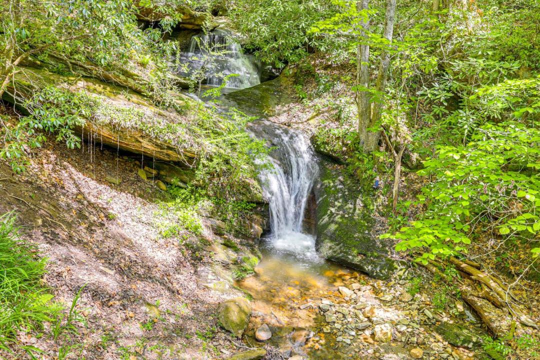 Photo of Others in Bryson City