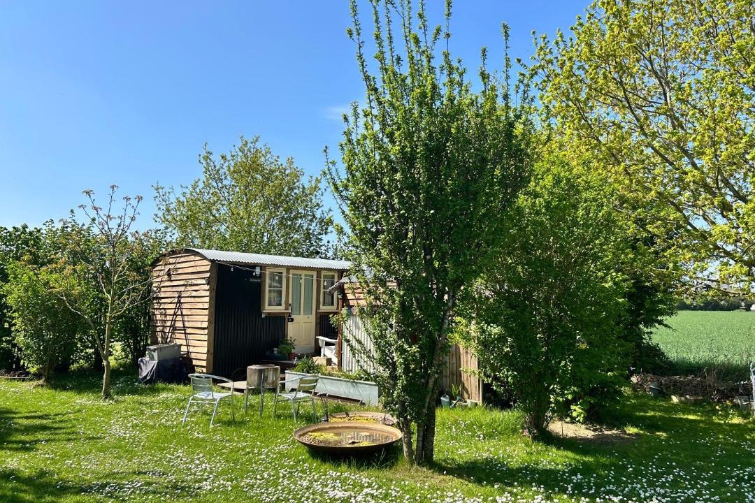 Photo of Others in Eye