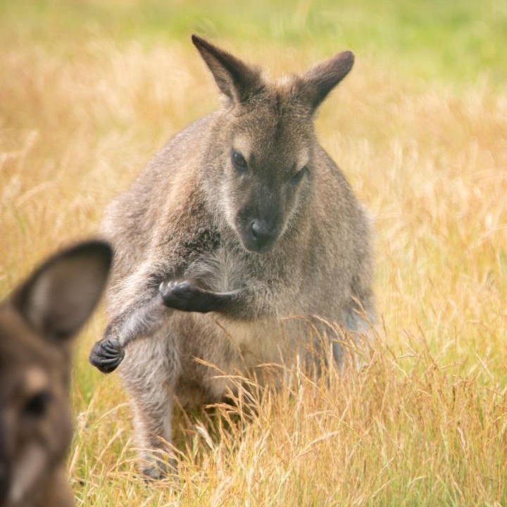 Photo of Others in Saint-Mars-du-Desert