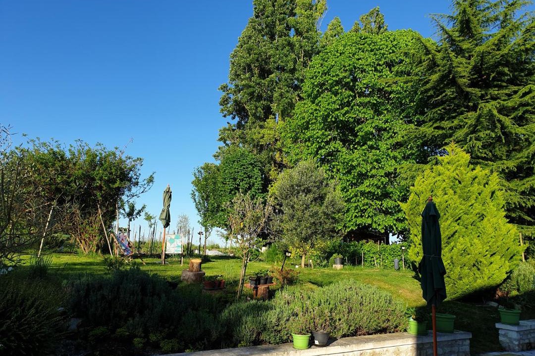 Photo of Others in Verneuil-le-Chateau