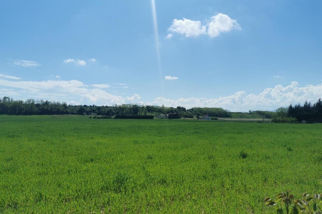 Photo of Others in Anneyron