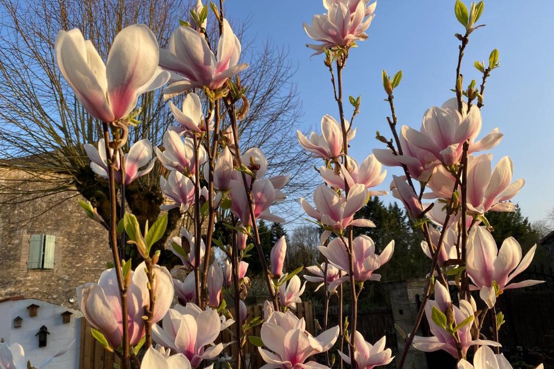 Photo of Others in Charroux