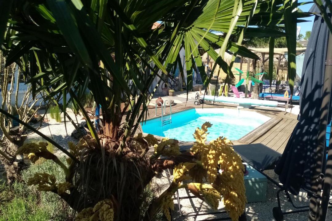 Photo of Others in Saint-Sulpice-de-Royan