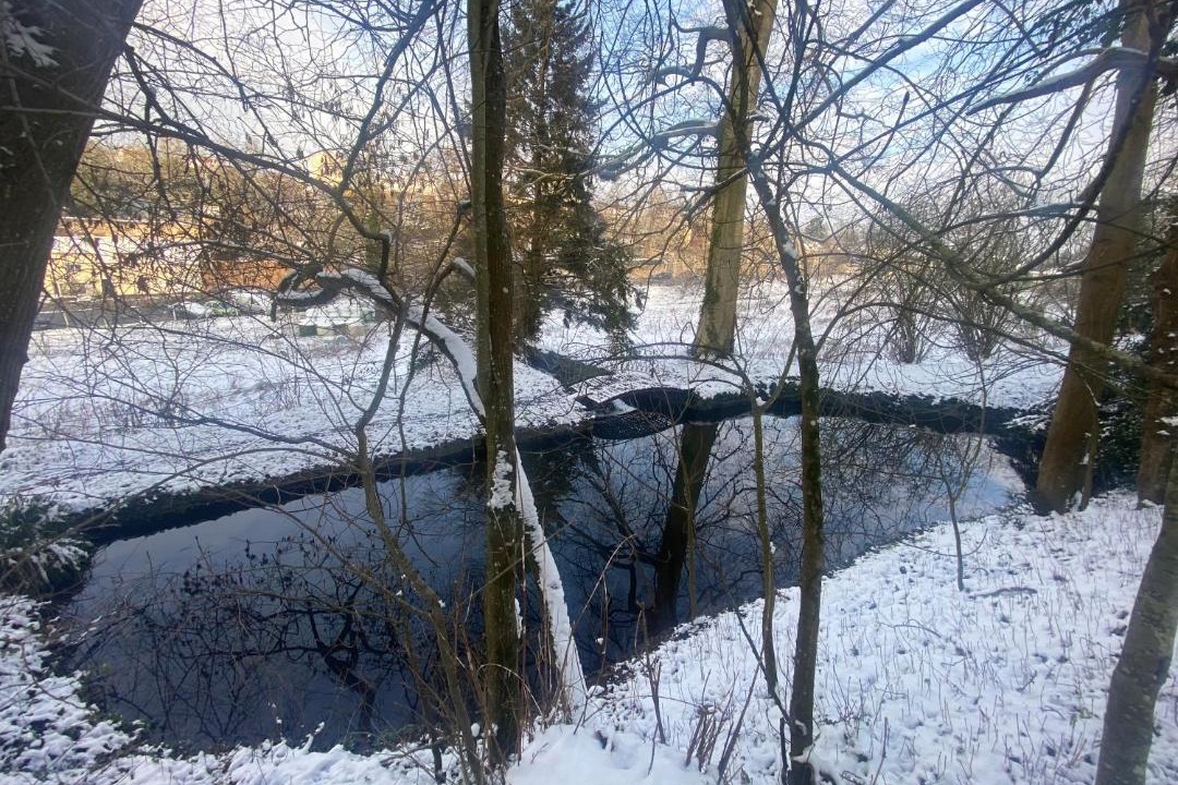 Photo of Others in Saint-Andre-sur-Orne