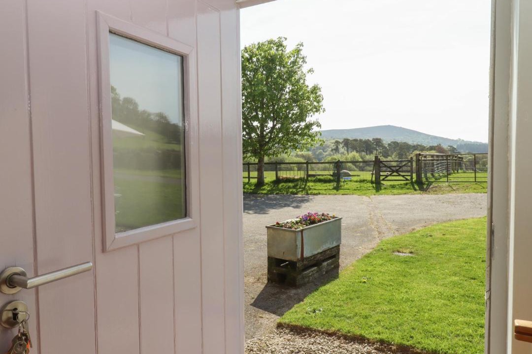 Photo of Others in Heligan