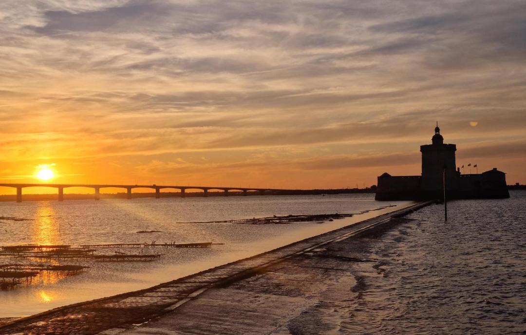 Photo of Others in Semussac