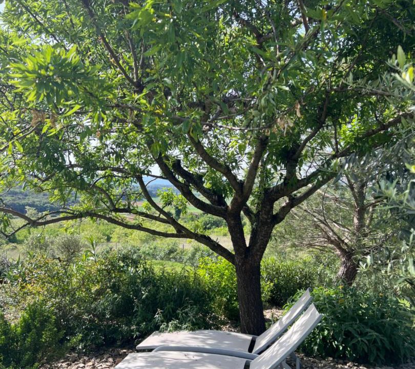 Photo of Outdoor in Savasse