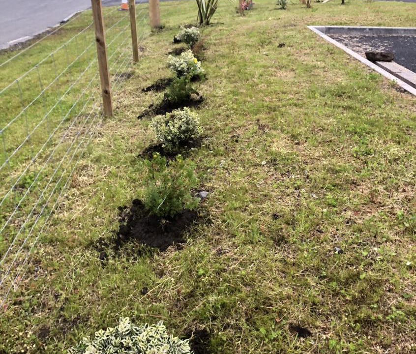 Photo of Others in Scalloway