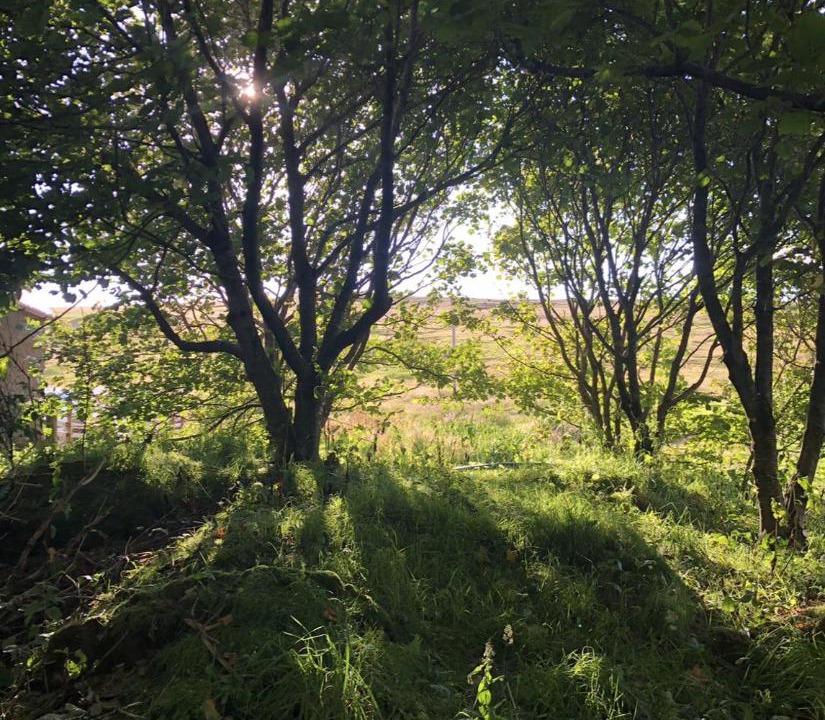 Photo of Others in Scalloway