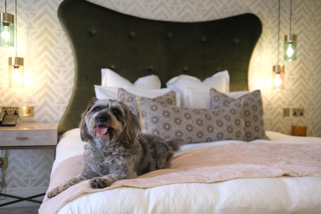 Photo of Bedroom in Cambridge