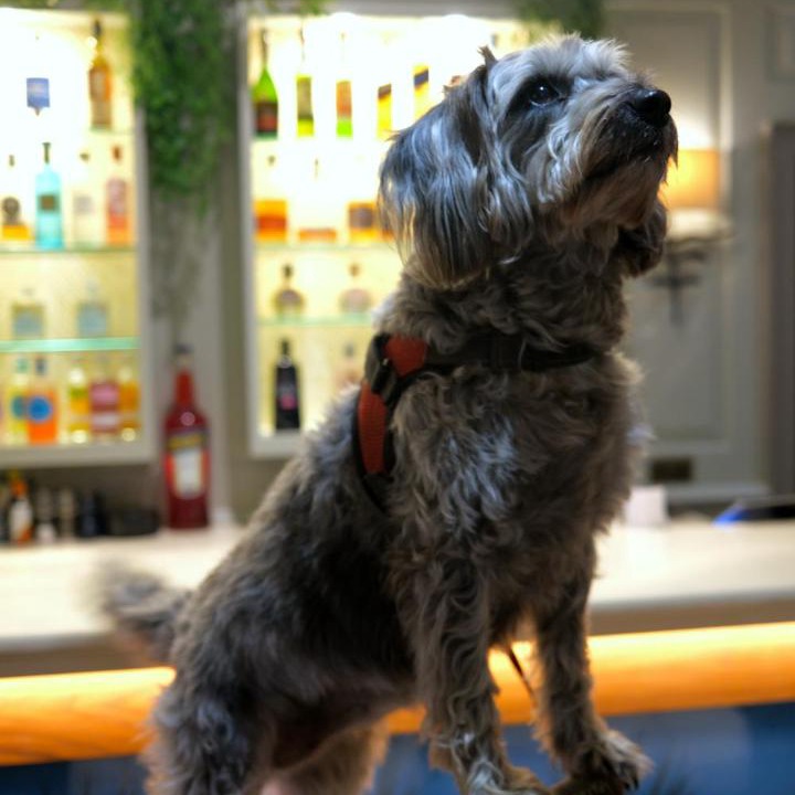 Photo of Others in Cambridge