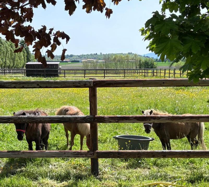 Photo of Others in Villeneuve-les-Cerfs