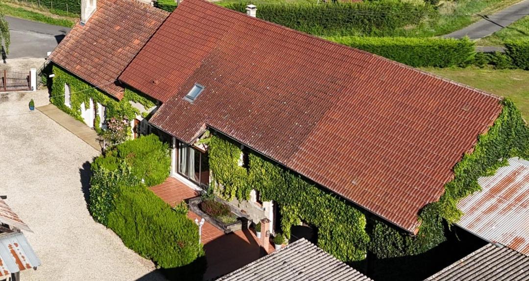 Photo of Others in Lere