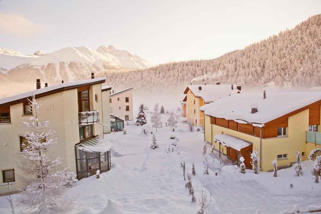 Photo of Others in Celerina-Schlarigna
