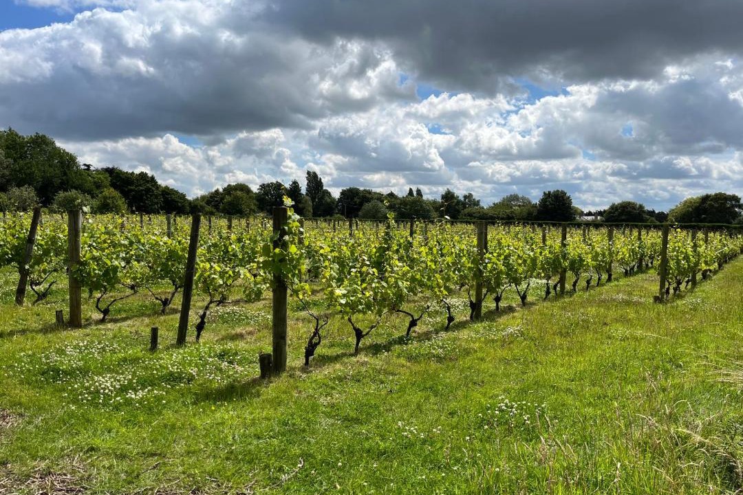 Photo of Others in Bury St Edmunds