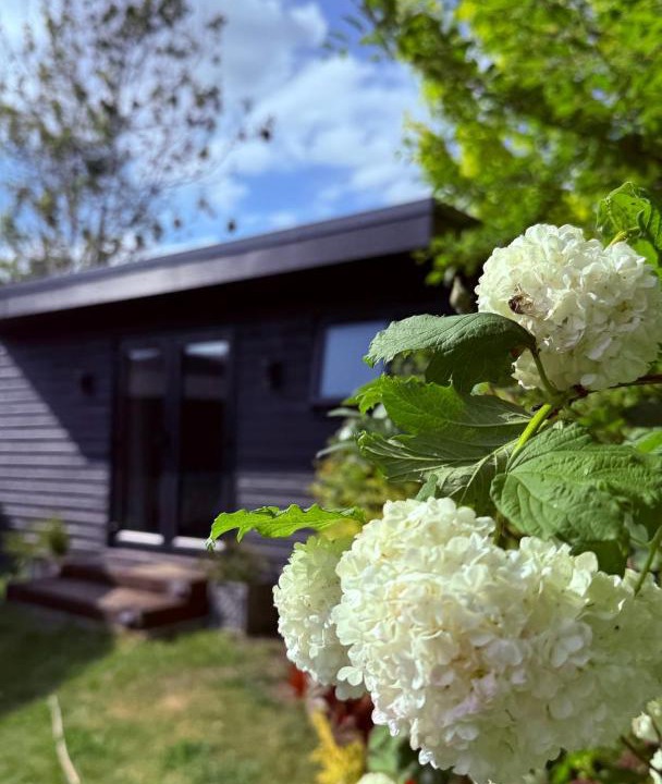 Photo of Others in Andover