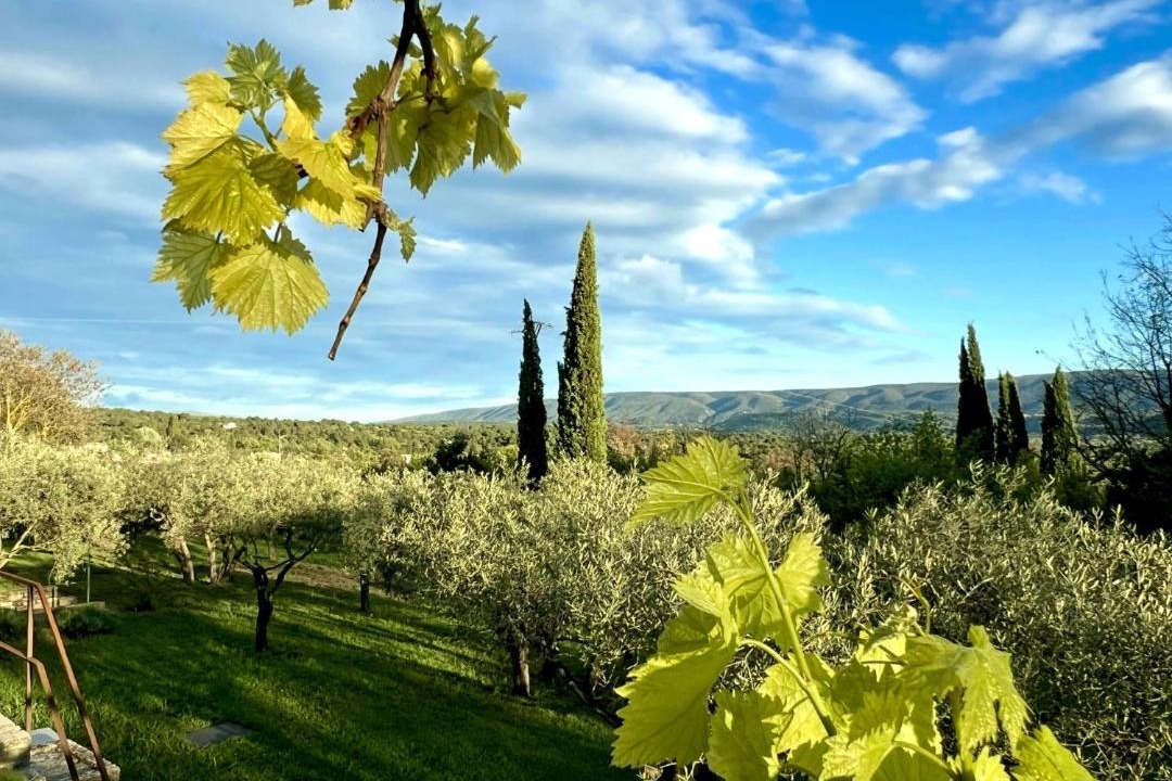 Photo of Others in Gordes