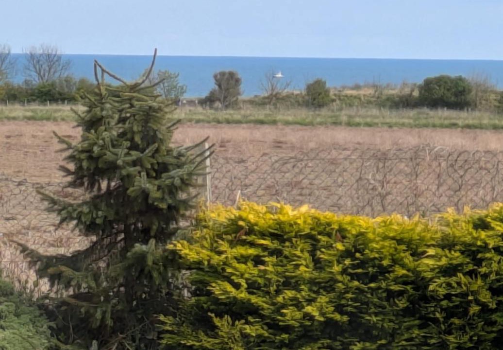 Photo of Others in Whitley Bay