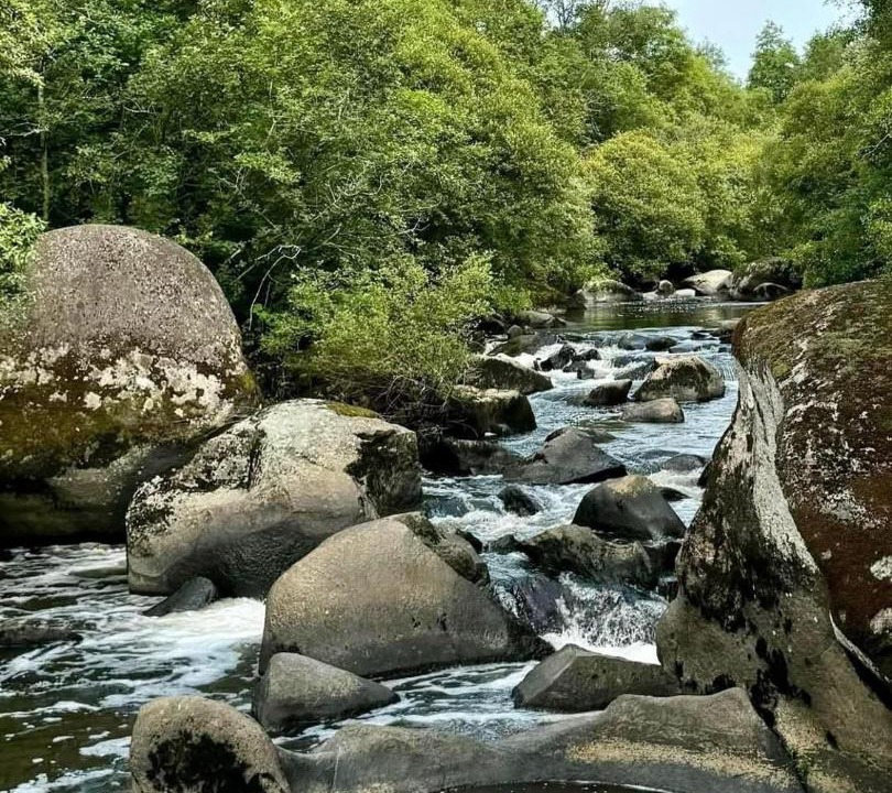 Photo of Others in Le Tablier