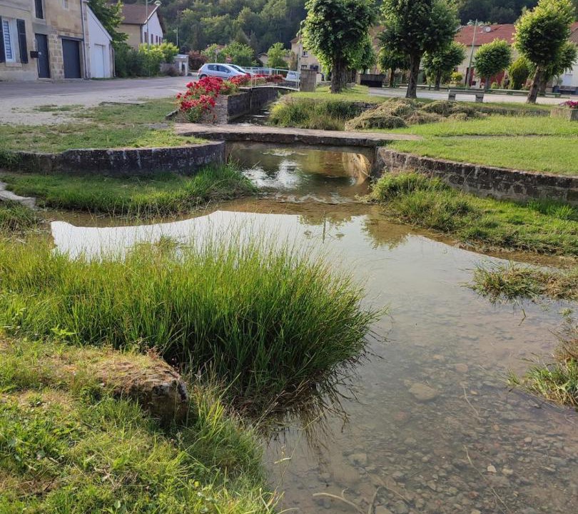 Photo of Others in Tremont-sur-Saulx