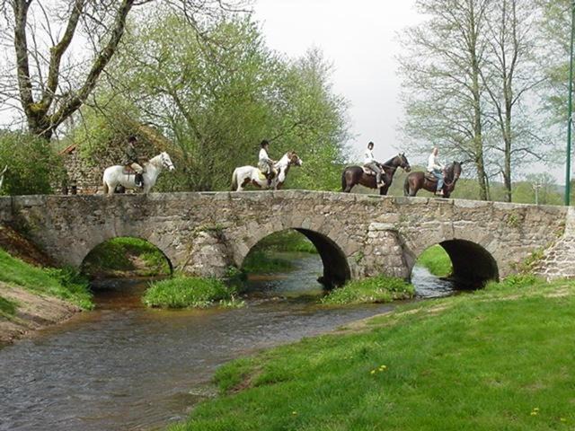 Photo of Others in Alligny-en-Morvan