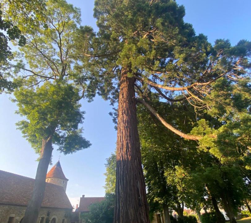 Photo of Others in Bouesse