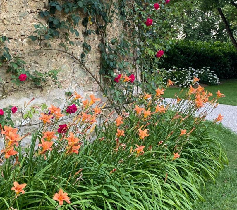 Photo of Outdoor in Bouesse