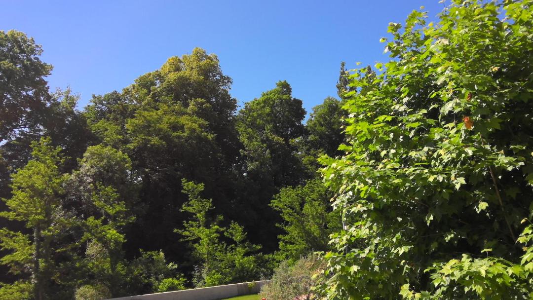 Photo of Outdoor in Hauterives