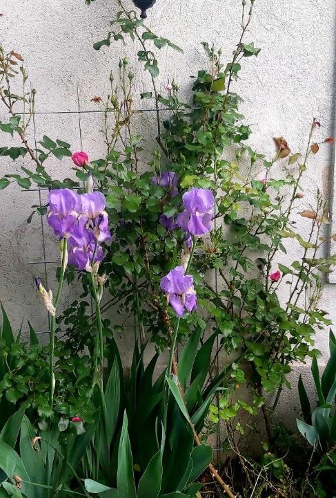 Photo of Outdoor in Saint-Bonnet-Troncais