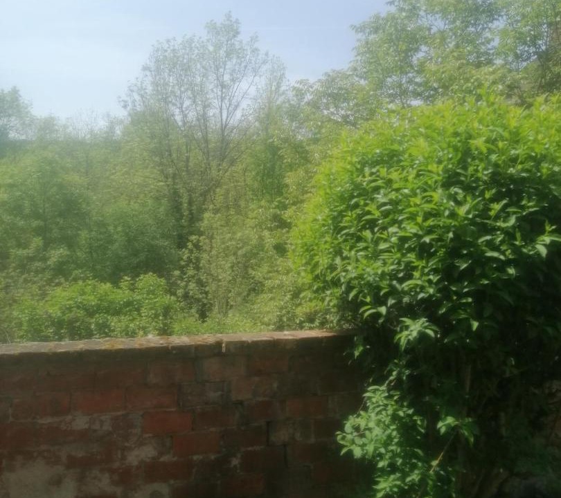 Photo of Others in Voutenay-sur-Cure