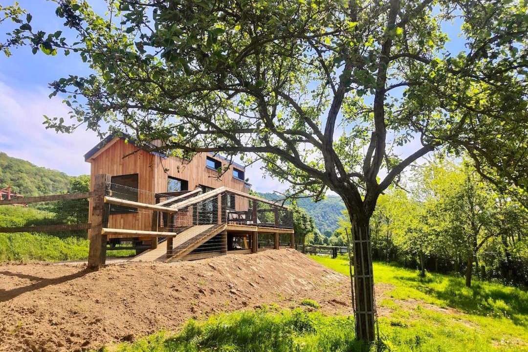 Photo of Others in Saint-Remy