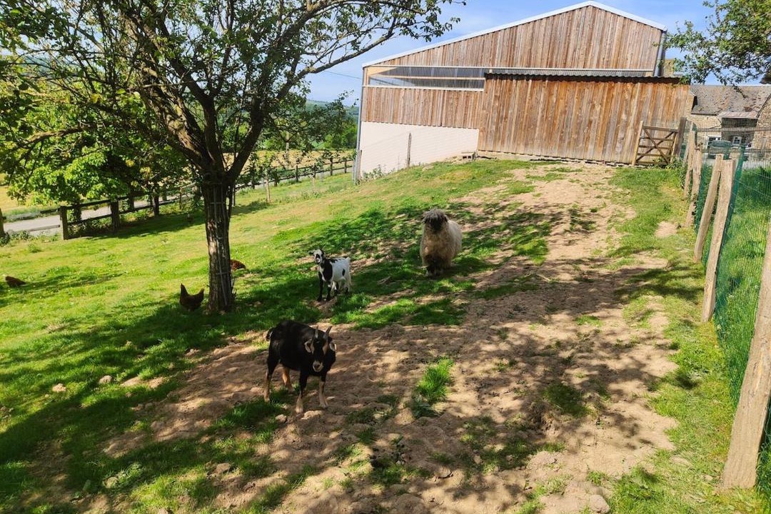 Photo of Others in Saint-Remy