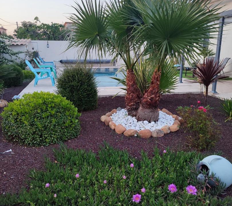 Photo of Others in Sorgues