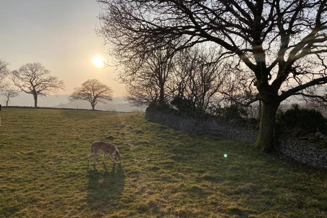 Photo of Others in Treharris