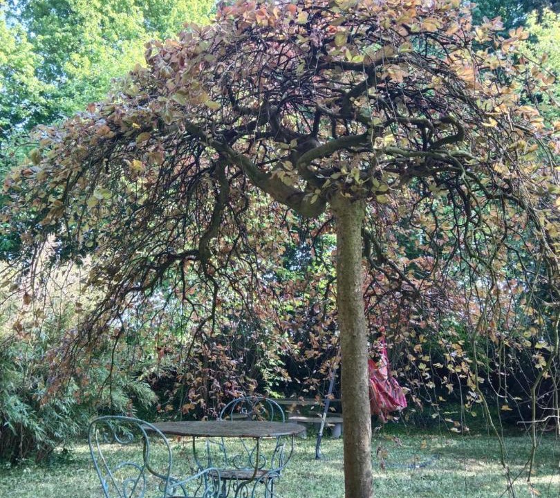 Photo of Outdoor in Thivencelle