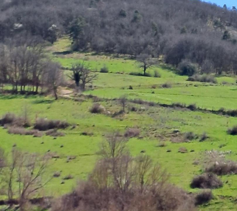 Photo of Others in Grenier-Montgon