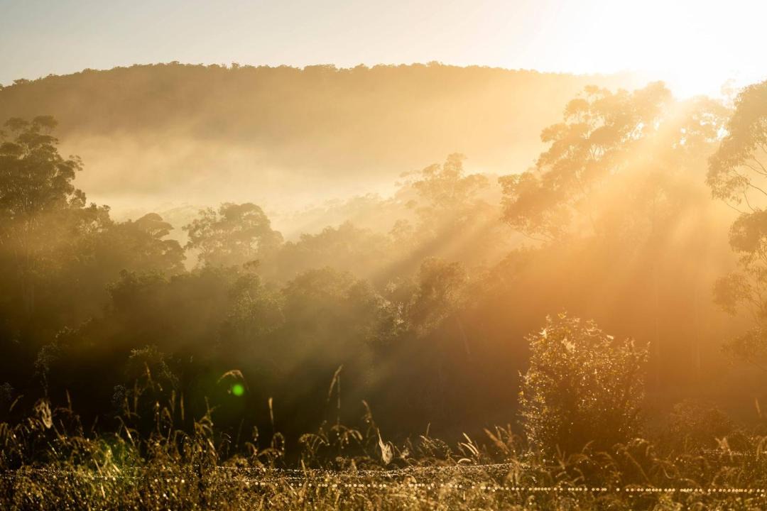 Photo of Others in Boolambayte
