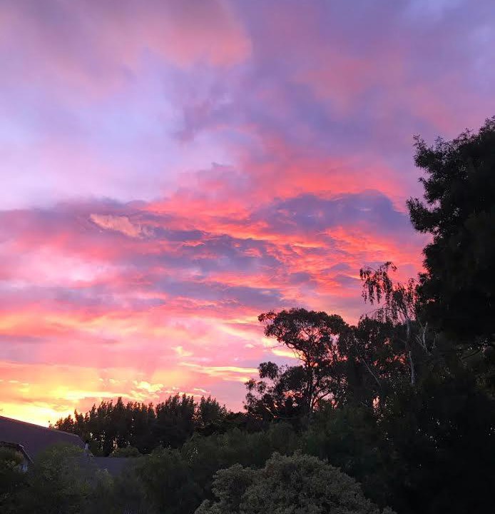 Photo of Others in Kapiti Island