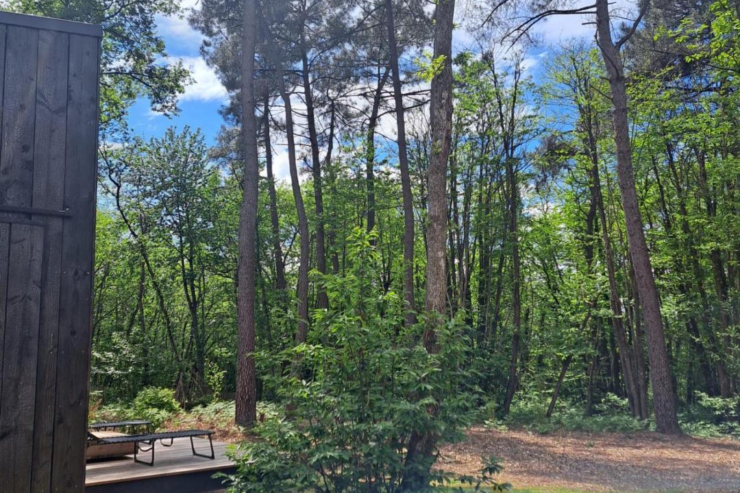 Photo of Others in Sainte-Foy-de-Longas